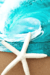 Presilha de Estrela do Mar - 10cm - comprar online