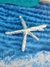 Imagem do Presilha de Estrela do Mar Prateada