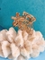 Presilha Encanto do Mar Gold na internet