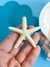 Presilha Estrela do Mar Resina 6cm - loja online