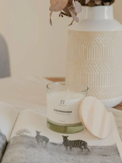 VELA ANTO en internet