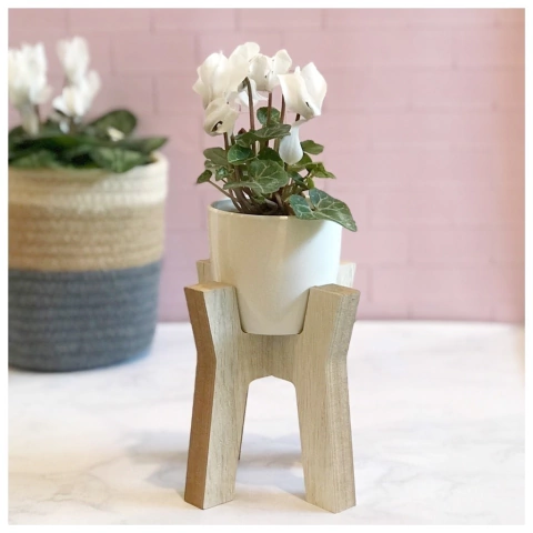 MACETA CON PIE MINI 'Y' - comprar online