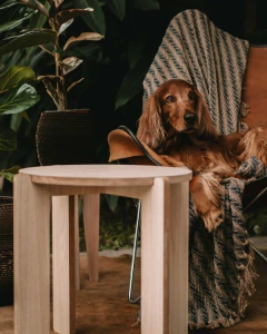 MESA BAJA BANDEJA KIRI en internet