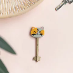 IDENTIFICADOR DE LLAVE
