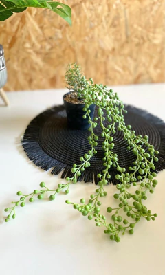 PLANTA COLGANTE CON MACETA VIRGEN DEL ROSARIO - comprar online