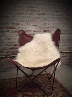 Silla BKF - comprar online