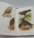 LES OISEAUX - SIGFRID DURANGO - ED. FERNAND NATHAN PARÍS, SIN FECHA (CIRCA 1960) - Hermoso libro francés de aves - LIBRERÍA EL FAROLITO