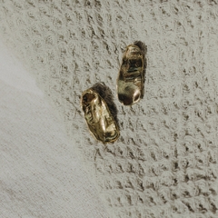 Aros Petalo Small Bronce