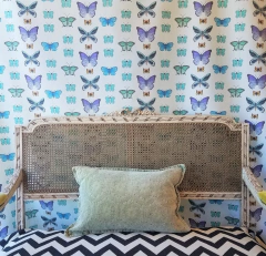 Butter Smoke en internet