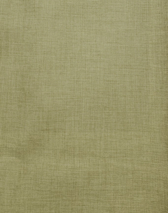 Bengali Olive - comprar online