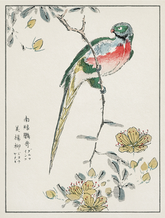 Bird Five