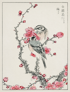 Bird Four