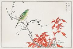 Bird Two