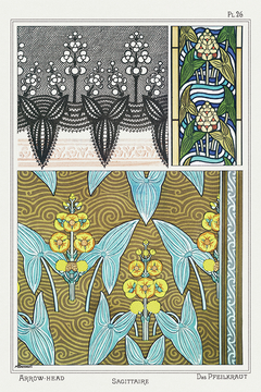 Collage Two