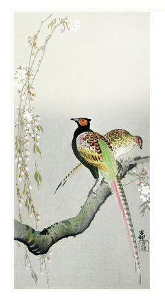 Lotus Bird four