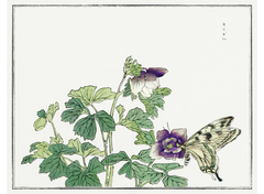 Wild Bees Four