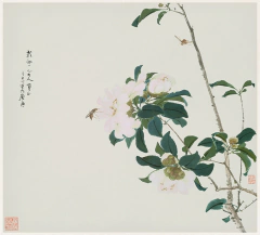 Wild Rose