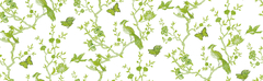 Thai Lime - comprar online