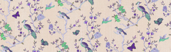 Thai Orchid - comprar online