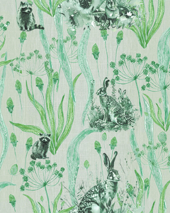 Big Hares Forest en internet