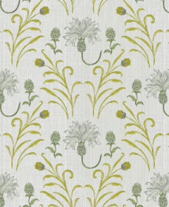 Wonder Garden Olive