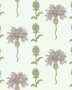 New Wonder Garden Olive