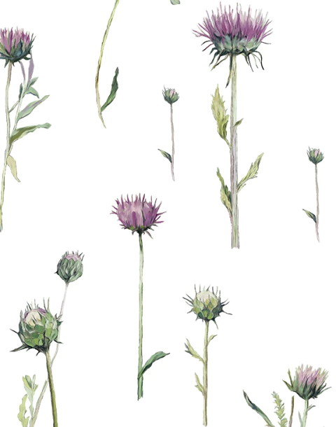 Thistle Wine - comprar online