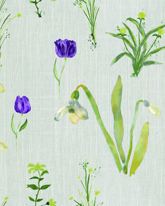 Violets Lime