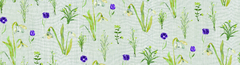 Violets Lime - comprar online