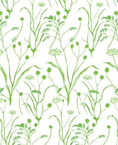 Wildforest Olive