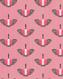 Windy Salmon