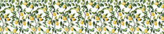 Lemon Trees en internet