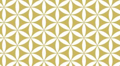 Geo Gold - comprar online