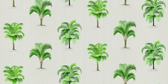 Coco Palms - comprar online