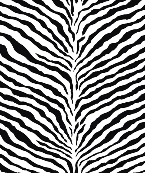 Big Zebra