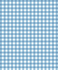 Small Gingham Blue