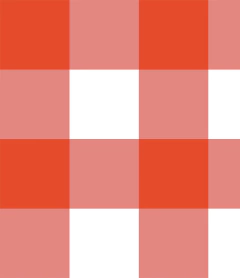 Corte Big Gingham Orange