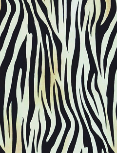 Zebra en internet