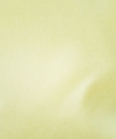 Solid Lemon