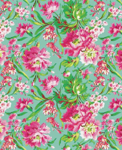 Bliss Aqua en internet