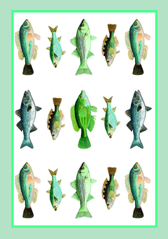 Corte Individuales Sea Side