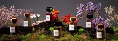 Banner da categoria bdk Parfums