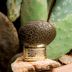 Blessing Silence • The House of Oud 75ml Eau de Parfum - Arômes du Monde