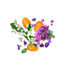 Dama Bianca • Casamorati 1888 100ml Eau de Parfum - comprar online