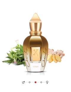 Uden Overdose • Xerjoff: Shooting Stars 50ml Parfum - comprar online