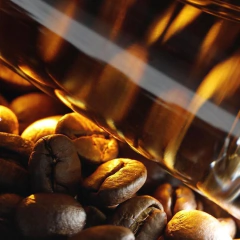 Amore Caffè • Mancera 120ml Eau de Parfum na internet