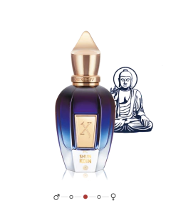 Shunkoin • Xerjoff: JTC - Join The Club 50ml Eau de Parfum - comprar online