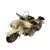 Miniatura Colecionável Moto Com Sidecar 1965 Branco Verito - comprar online