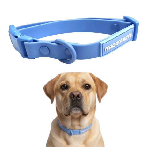 Collar para perro de silicona azul resistente e impermeable con cierre seguro y detalle de marca "mascotas"