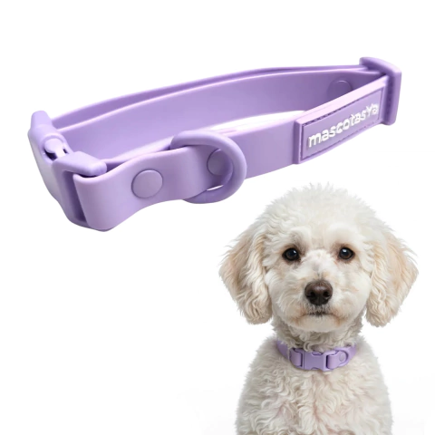 Collar PVC Silicona Resistente Impermeable Premium Violeta S,M,L en internet